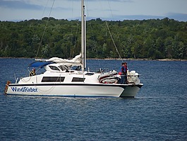 双体船,帆船,猫