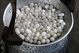 茧丝绸,茧,丝线