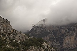 有雾,山,雾