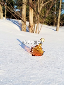 枫,糖浆,雪