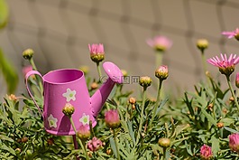 鲜花,喷壶,铸造