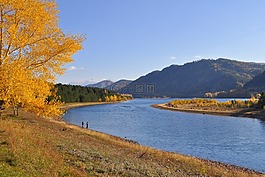 背景,河,森林