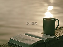 书,页面,工作表
