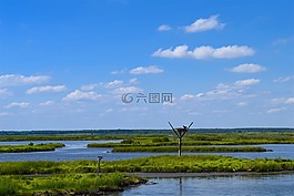 江滩,河口,水