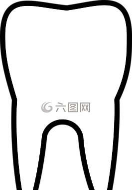 牙,磨牙,牙科