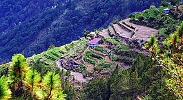 cardillera,山,区域