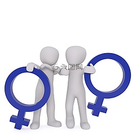 平等,性别,女子