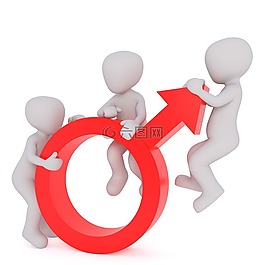 平等,性别,女子