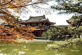 日本,寺,宇治