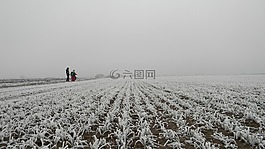 冬季,玛耶兹,积冰