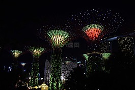 灯光秀,花园里的海湾,结构