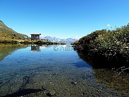 水,石,碱性磷酸酶