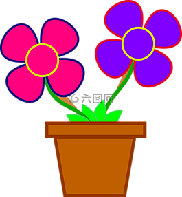 鲜花,锅,粉红色