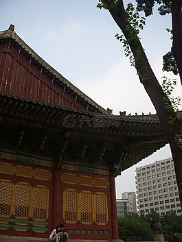 木材,韩屋,美