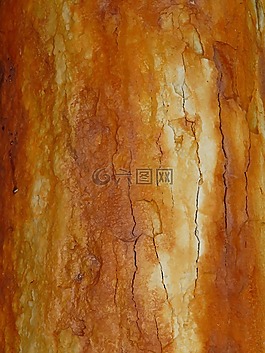 不锈钢,生锈,金属