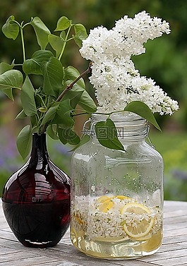 糖浆,丁香糖浆,丁香花糖浆