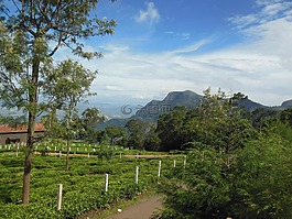 风景,自然,美丽的景色