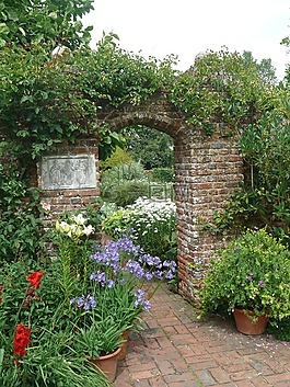 目标,植物,花园