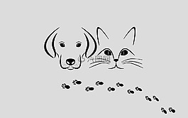 宠物,狗,猫