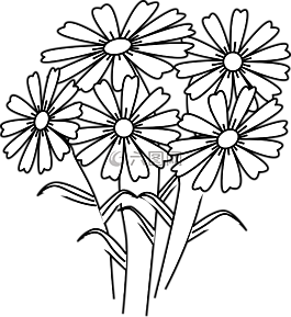 花,雏菊,束