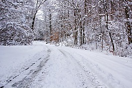 雪背景图片 雪背景素材 雪背景模板免费下载 六图网