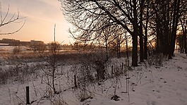 blerick aan de maas,冬季景观,太阳晚报