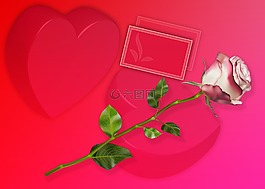 卡,设计,浪漫