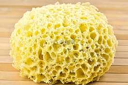 海绵清洗,海绵,清洗