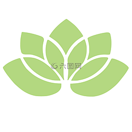 莲花,花,植物