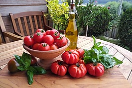 森林,食品,健康