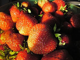 浆果,草莓,特写