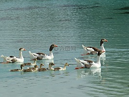 pamukkale,石灰烧结矿阳台,景观