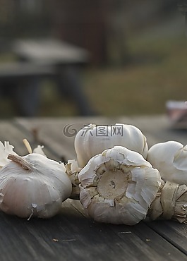 大蒜,垫,洋葱