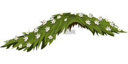 鲜花,茉莉花,白