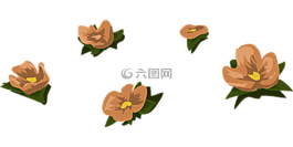 鲜花,植物区系,分散