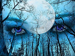 蓝色,森林,天空