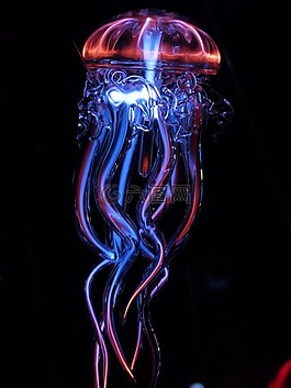 水母,发光水母,光