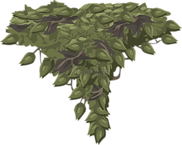 叶子,绿色,自然