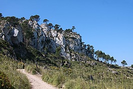 马洛卡,岩,性质