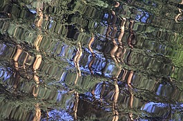 水,思考,镜像