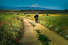 沃克,独奏,路径