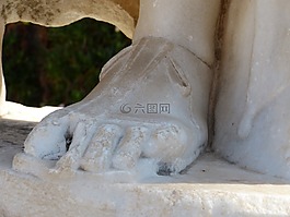 脚,腿部,脚趾