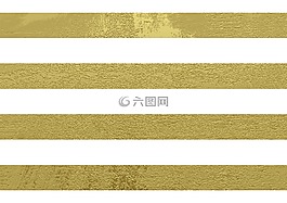 白色的条纹,优雅,金色条纹
