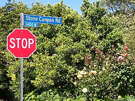 停止,迹象,美国