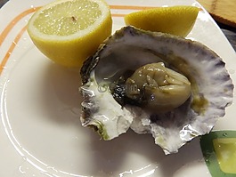 牡蛎,水果,海