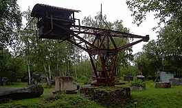 性质,老鹤,博物馆