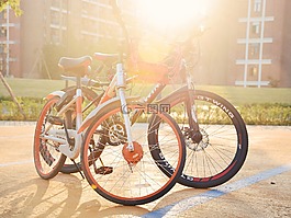 校园,自行车,阳光