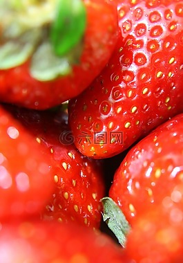 草莓,特写,水果