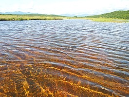 湖,风管,浅滩