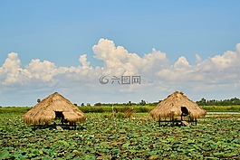村,房子,农村